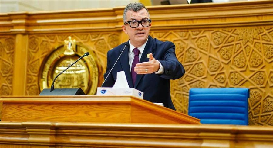 Egypt settles EGP 401.9B in NIB debts: Rostom 